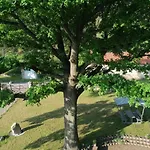 Πανσιόν Goldbachmuehle Blankenburg (Harz)