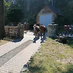 Goldbachmuehle 3* Blankenburg (Harz)