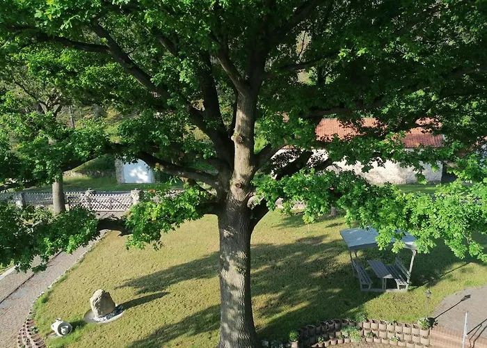 招待所 Goldbachmuehle 布兰肯堡