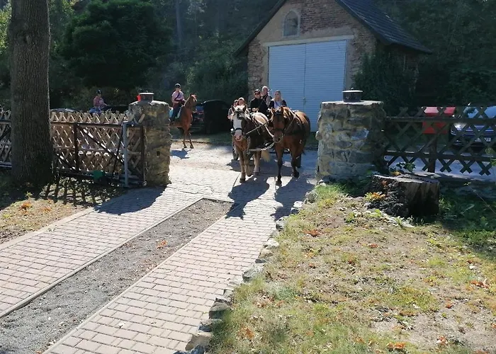 Café&pension Goldbachmühle 3* Blankenburg (Harz)