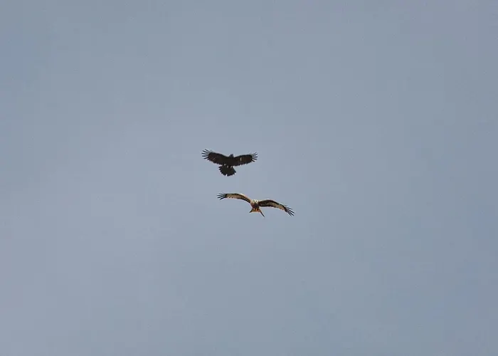 Goldbachmuehle 3* 布兰肯堡