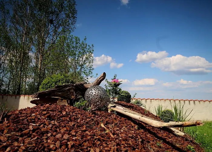 Café&pension Goldbachmühle
