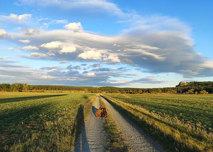 بيت ضيافة Goldbachmuehle 3*